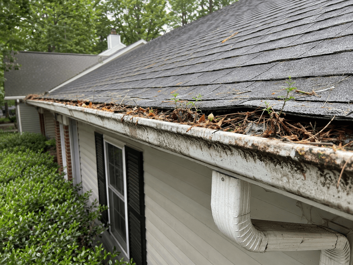Dirty gutters full of debris