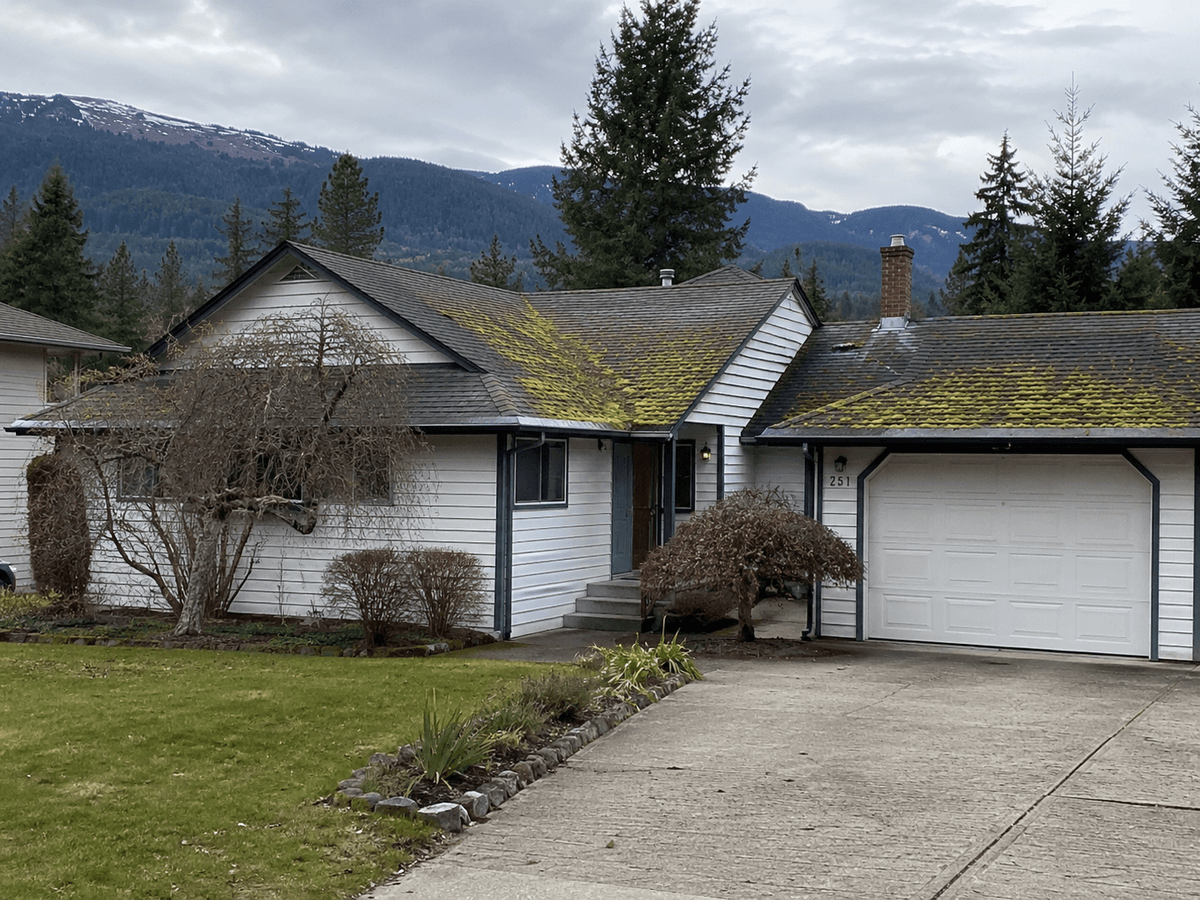 House roof with moss buildup